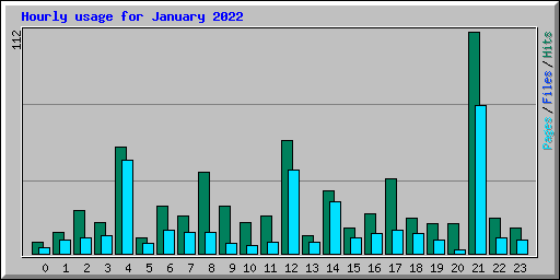 Hourly usage for January 2022